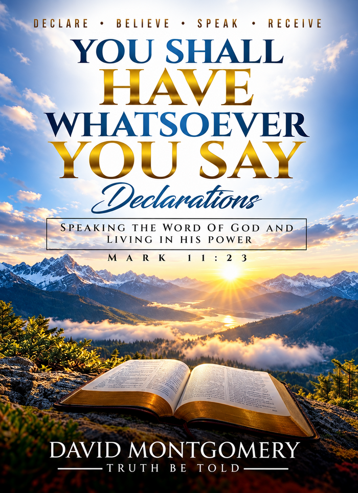 You Shall Have Whatsoever You Say: Declarations by David Montgomery book cover